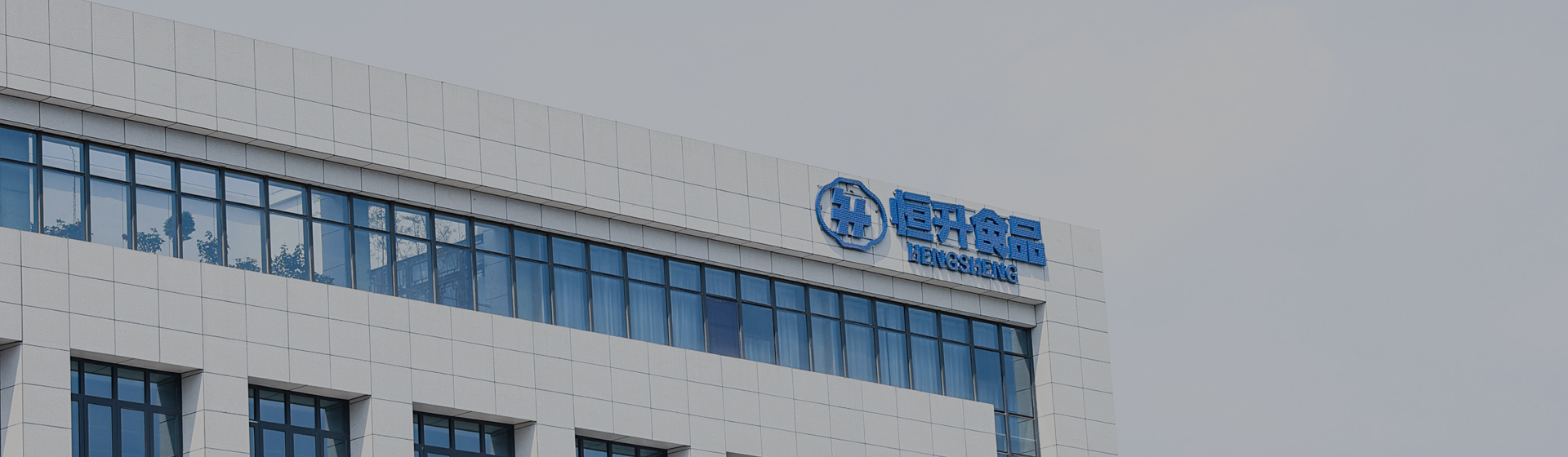 恒升(新乡)食品有限公司